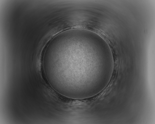 X0000089380290200706151209