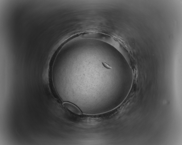 X0000089380292200706151209