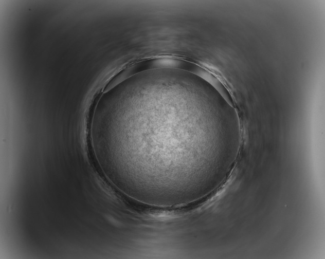 X0000089380293200706151209
