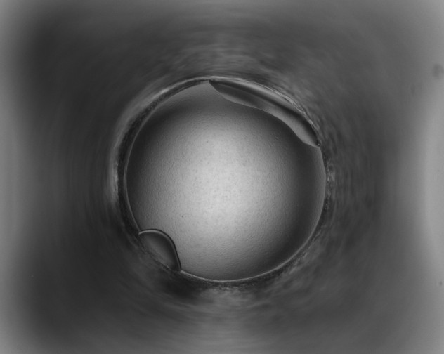 X0000089380294200706151209