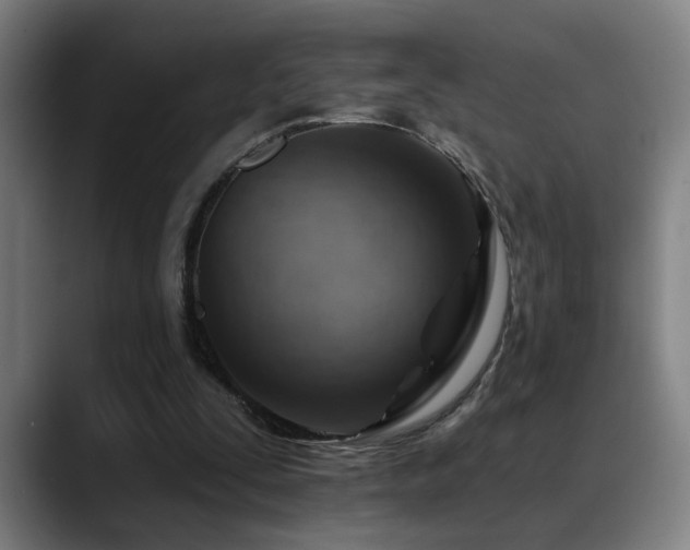 X0000089380295200706151209