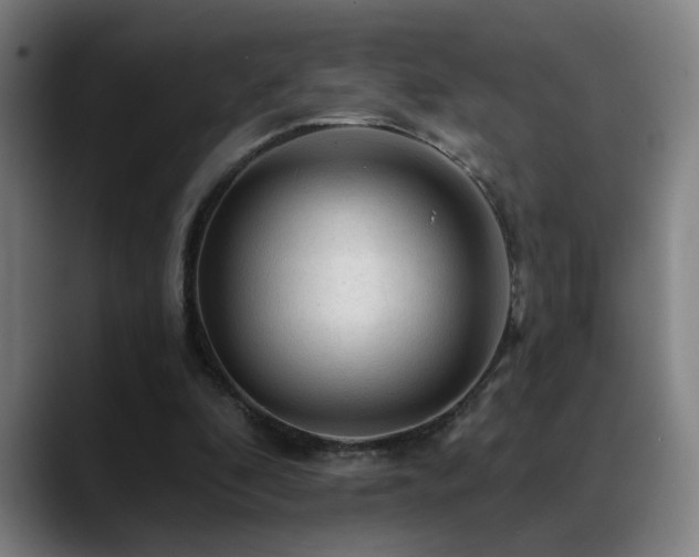 X0000089380296200706151209
