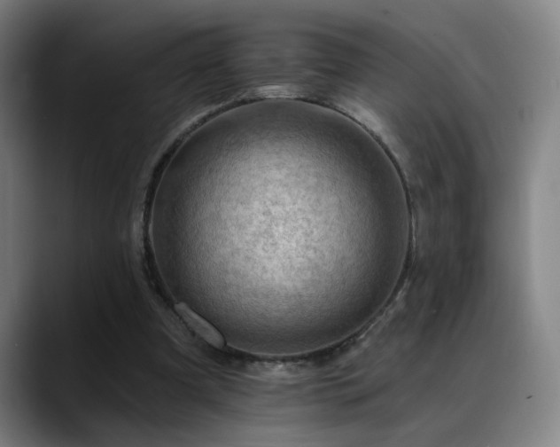 X0000089380297200706151209