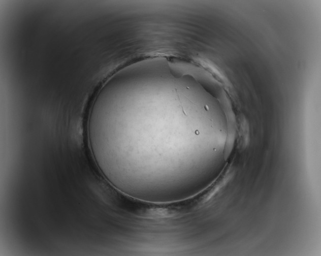 X0000089380298200706151209