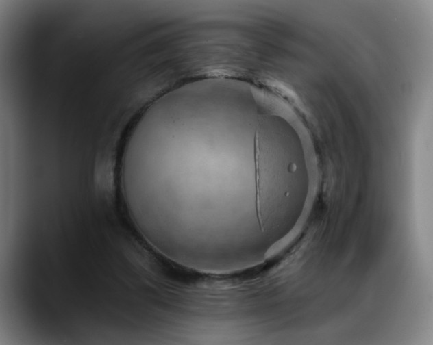 X0000089380299200706151209