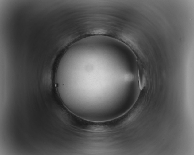X0000089380300200706151209