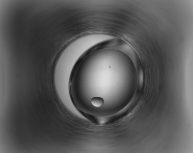 X0000089380301200706151209