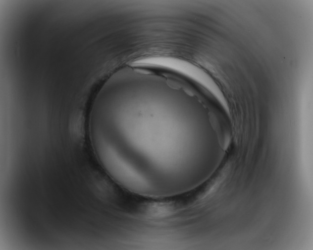X0000089380303200706151209