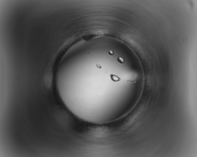 X0000089380304200706151209