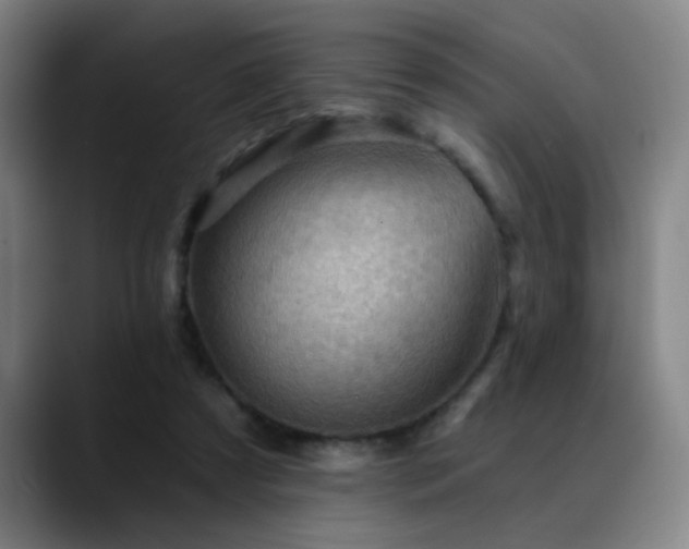 X0000089380305200706151209