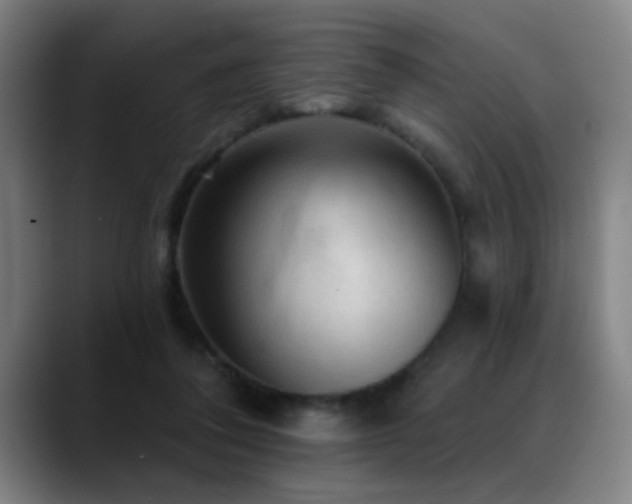 X0000089380308200706151209