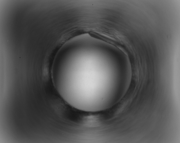 X0000089380312200706151209