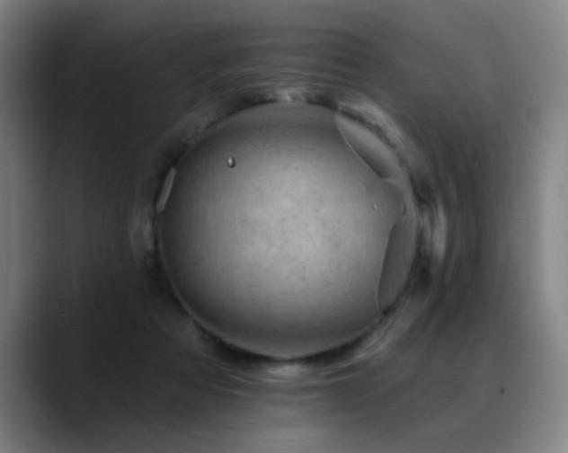X0000089380313200706151209