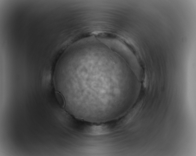 X0000089380314200706151209