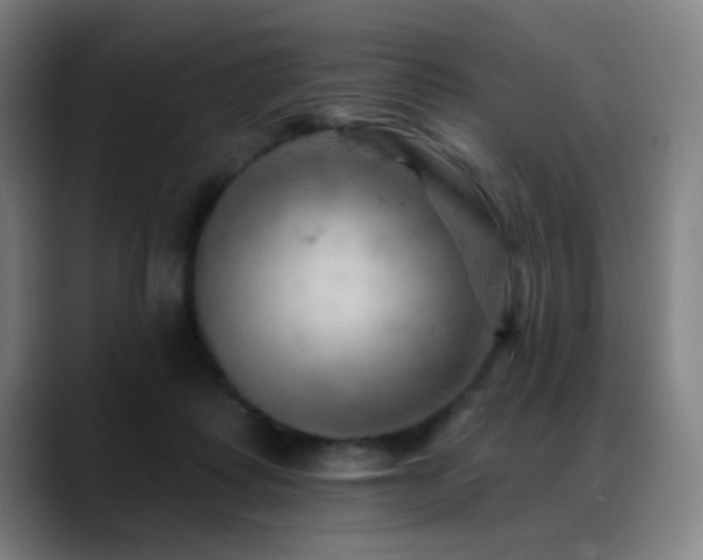 X0000089380315200706151209