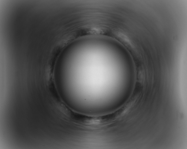 X0000089380318200706151209