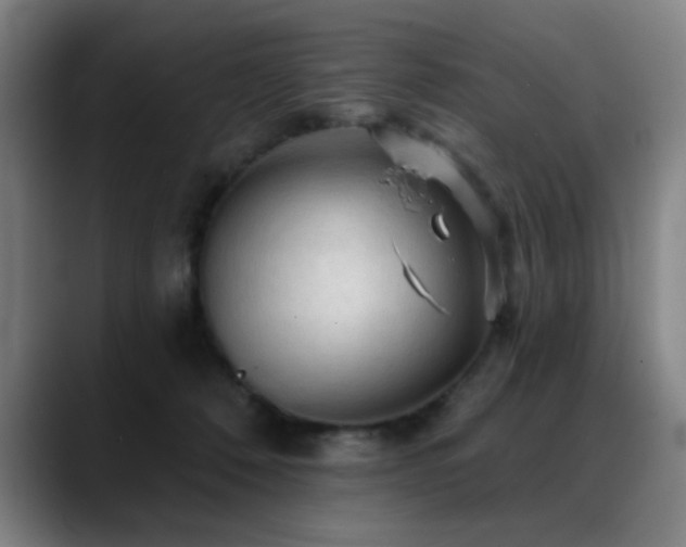 X0000089380320200706151209