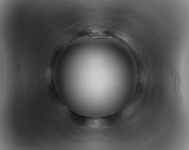 X0000089380321200706151209