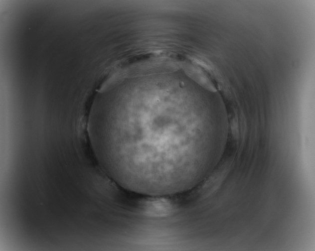 X0000089380322200706151209