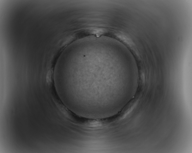 X0000089380325200706151209
