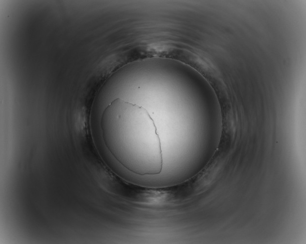 X0000089380328200706151209
