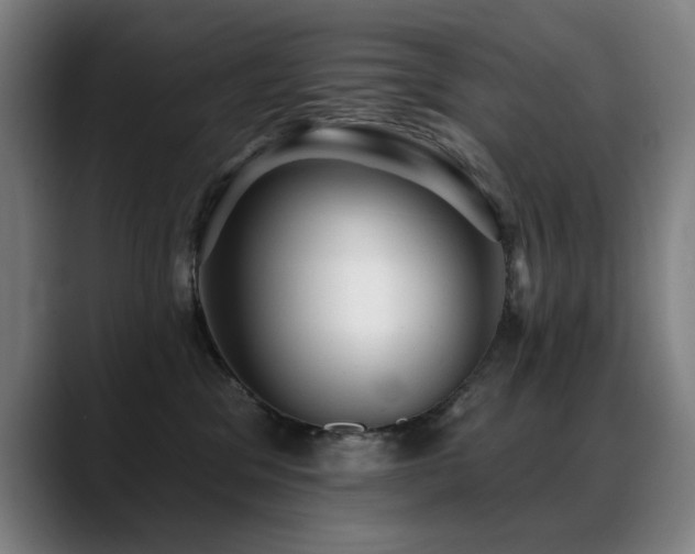 X0000089380329200706151209