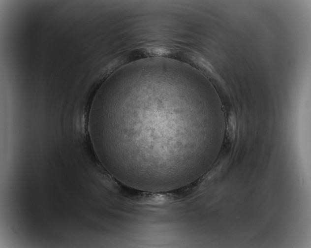 X0000089380330200706151209