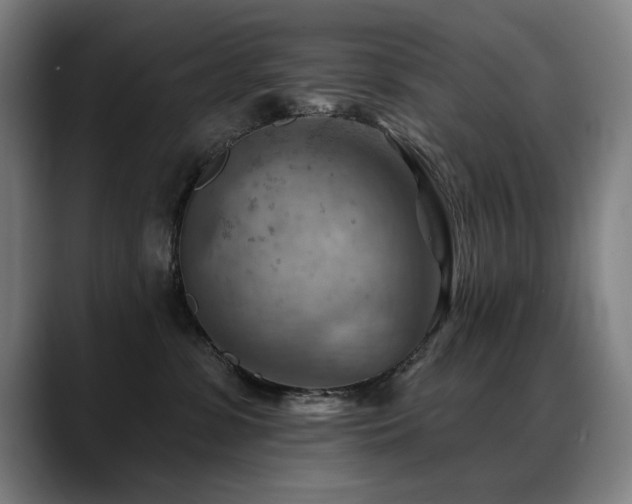 X0000089380331200706151209
