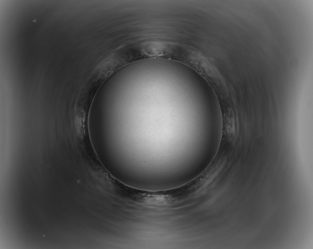 X0000089380332200706151209