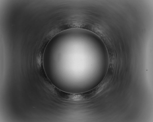 X0000089380334200706151209