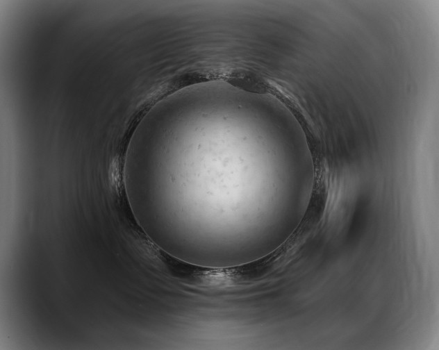 X0000089380335200706151209