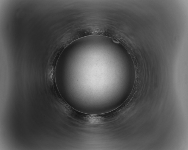 X0000089380336200706151209
