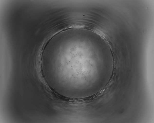 X0000089380337200706151208