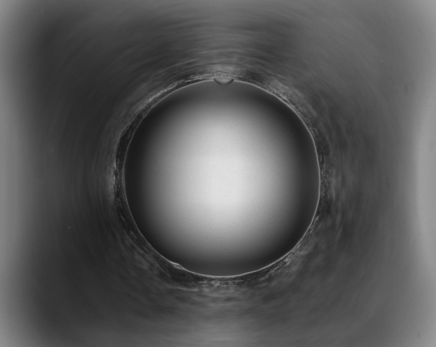 X0000089380338200706151208