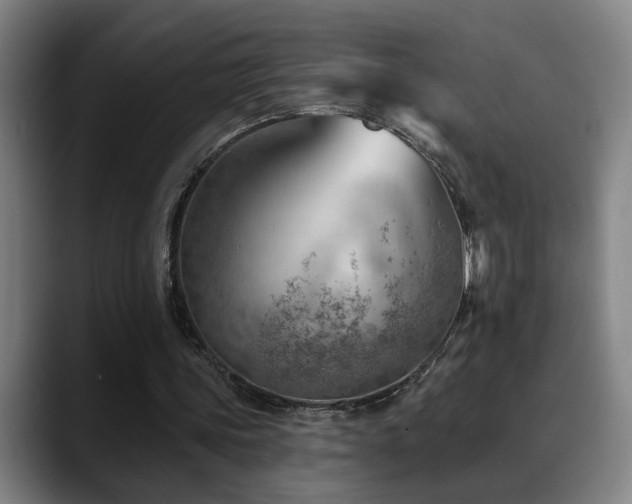 X0000089380339200706151208