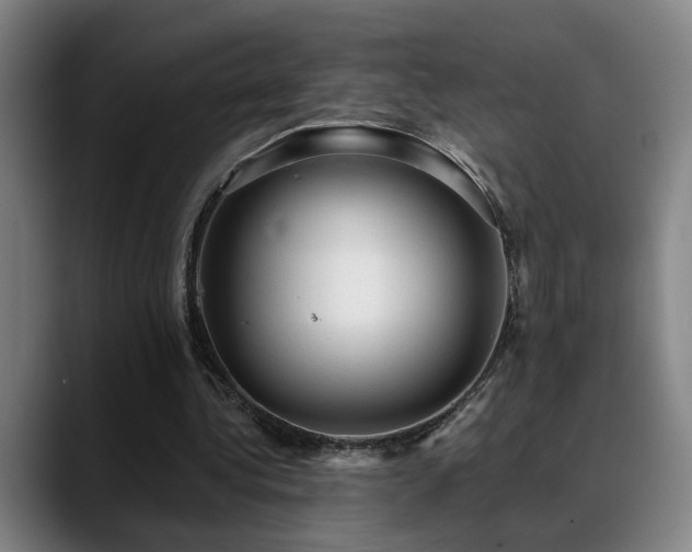 X0000089380340200706151208