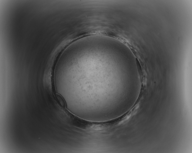 X0000089380341200706151208