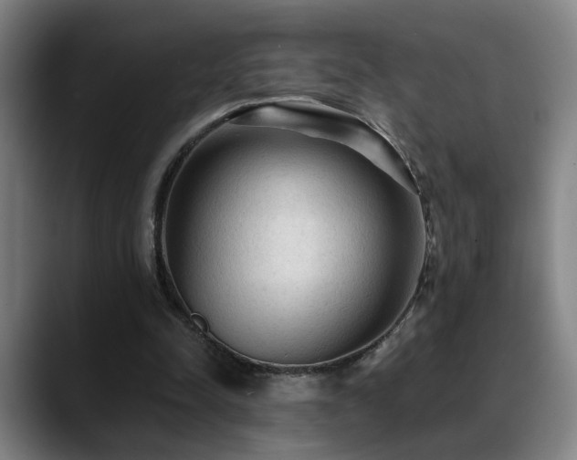 X0000089380342200706151208