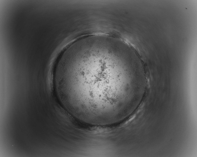X0000089380343200706151208