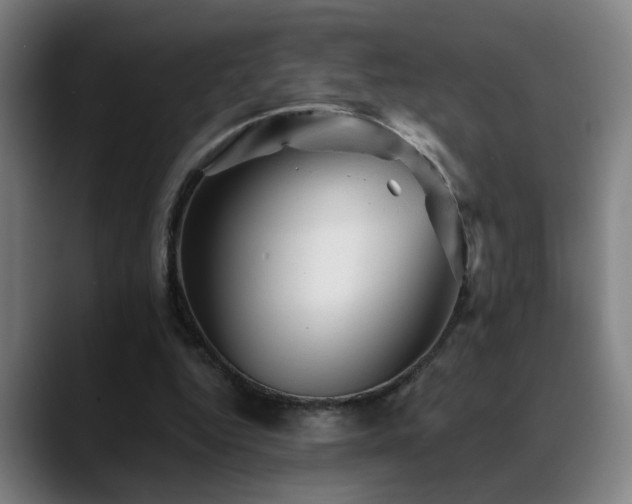 X0000089380344200706151208