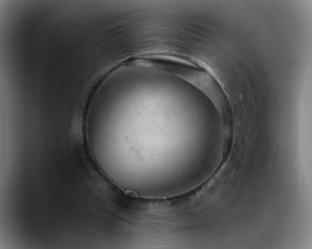 X0000089380345200706151208