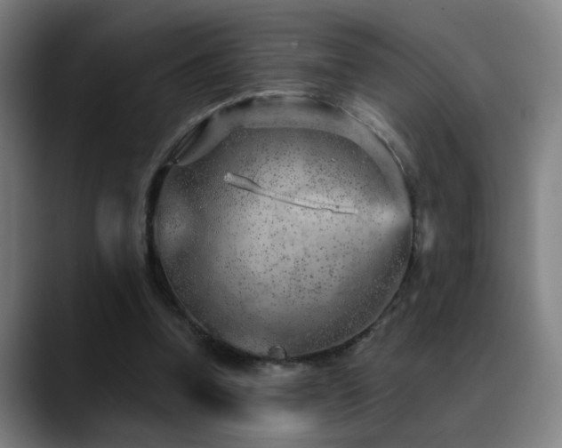 X0000089380346200706151208