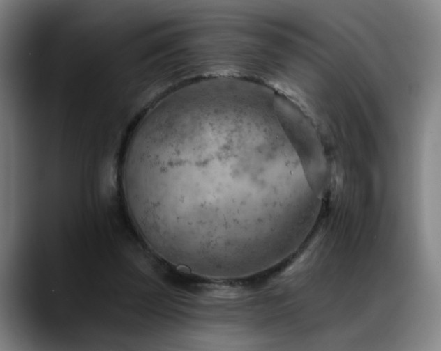 X0000089380347200706151208