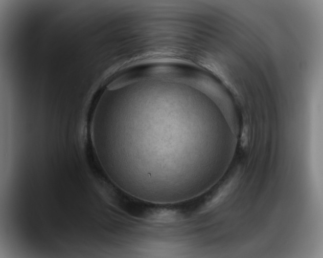 X0000089380348200706151208