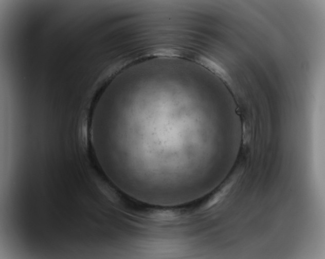 X0000089380349200706151208