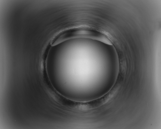 X0000089380350200706151208