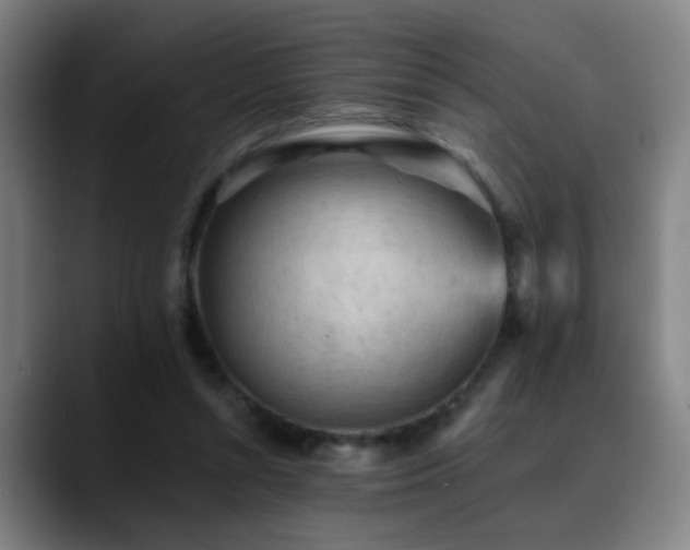 X0000089380352200706151208