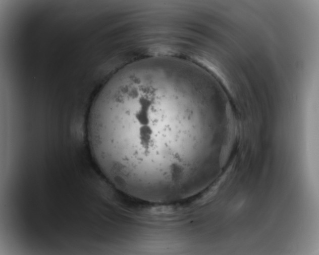 X0000089380353200706151208