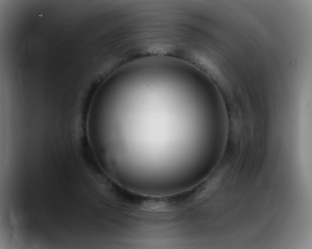 X0000089380354200706151208