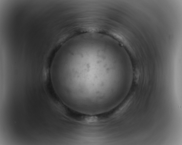 X0000089380355200706151208